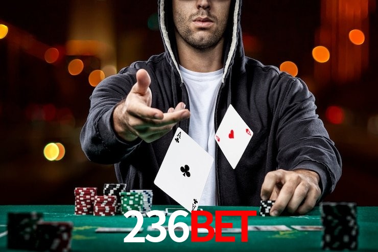 236bet bet