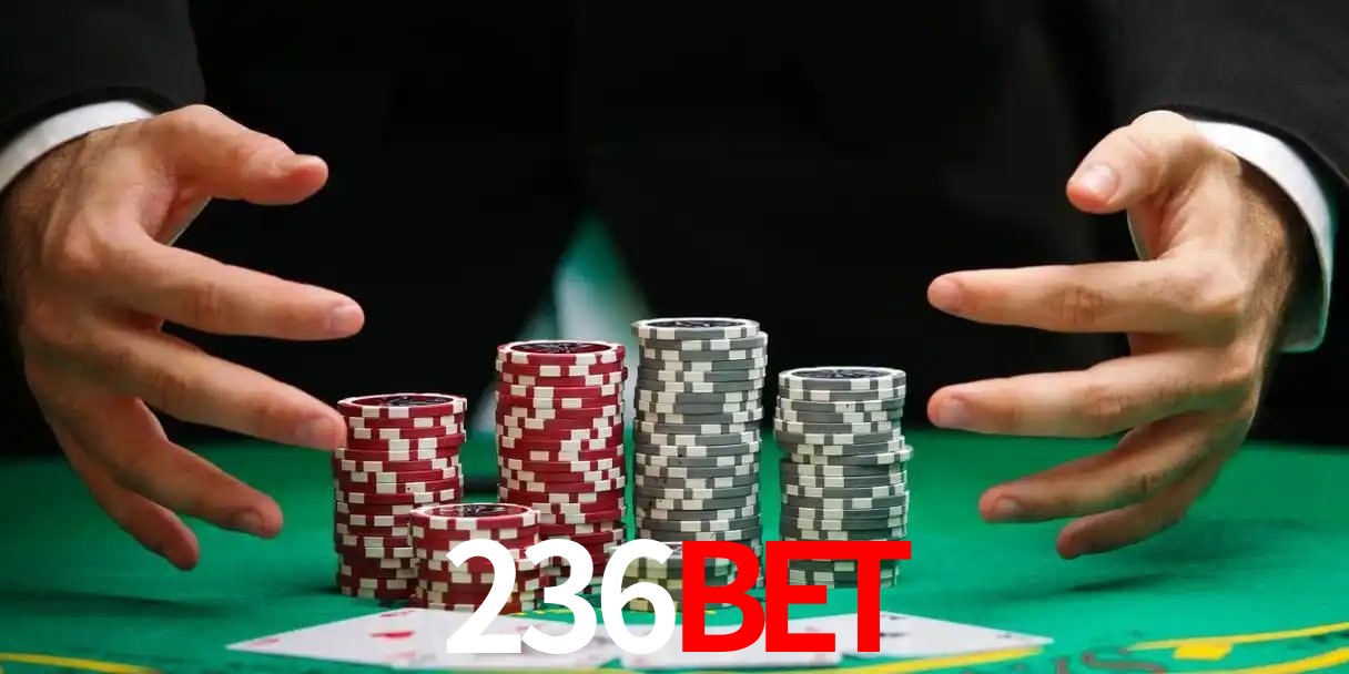 236bet telegram