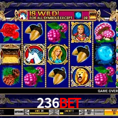 236bet cadastro